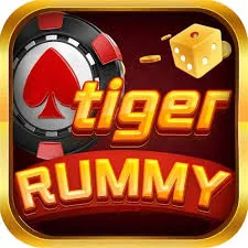 Mbm Bet
